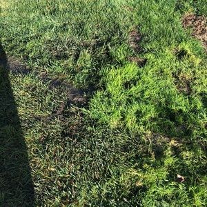 Meet your Posher, Trong